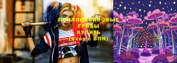 спиды Гусь-Хрустальный