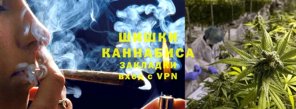 молекула духа Дмитровск