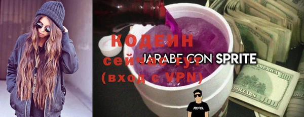 ГАЛЛЮЦИНОГЕННЫЕ ГРИБЫ Гусиноозёрск