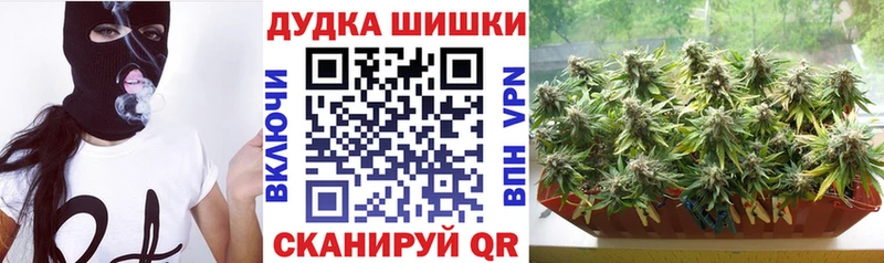 купить закладку  Заводоуковск  Бошки марихуана VHQ 